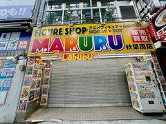 -秋叶原电器街