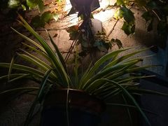 -不舍昼夜咖啡馆