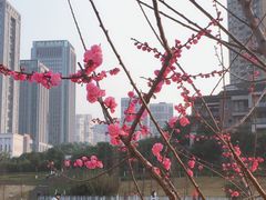 景点-沐仙湖湿地公园
