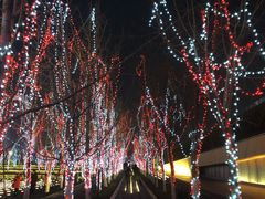 -南京眼步行桥