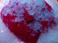 -挂雪铁锅炖大鹅
