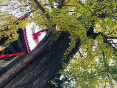 -金堂县云顶石城风景区