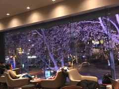 -星巴克臻选(南京艾尚天地店)