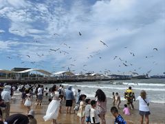 -海驴岛(荣成市)