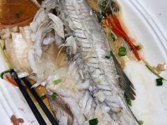 清蒸鲈鱼-眉州东坡·熊猫主题餐厅(枫蓝店)