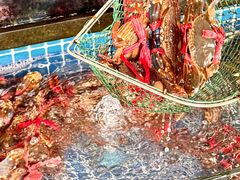 -红月湾海鲜饭店•沙滩海景(双月湾店)
