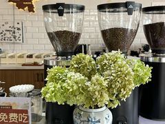 -Torch Coffee 炬点咖啡