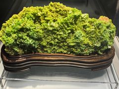 -安徽省地质博物馆