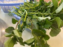 西洋菜-渝君重庆火锅(嘉宾路店)