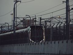 -海堤纪念公园