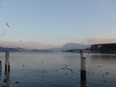 琉森湖-卢塞恩湖