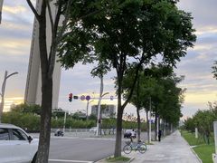 -金银湖国家城市湿地公园