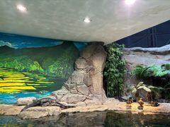 -上海海洋水族馆