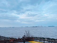 -上海滨江森林公园