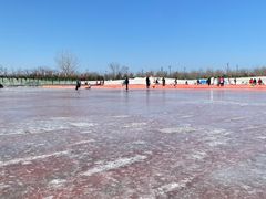 -绿野森林乐园冰雪季