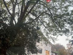 -杭州少年儿童公园