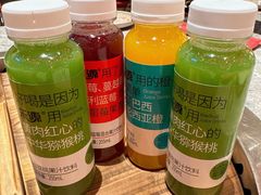 -二胖家铁锅炖大鹅(双井店)