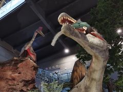 -湖南省地质博物馆