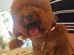 -萌宠主义宠物生活馆(金山路店)