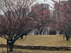 -杭州半山国家森林公园