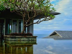 -日落吧·海景咖啡厅·餐酒吧·鸡尾酒·下午茶·乐队表演·浪漫夕阳·三亚文华东方酒店