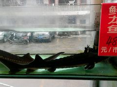 -南庄酒家·海鲜粤菜·25年老字号(环城南路店)