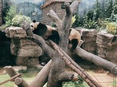 -北京动物园