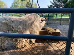 -长白岛森林公园