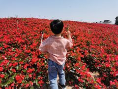-迪茵湖田家舍生态农场