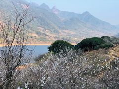 -广州市流溪河国家森林公园