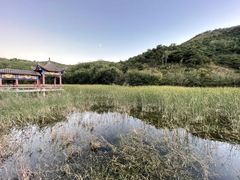 -青龙山景区