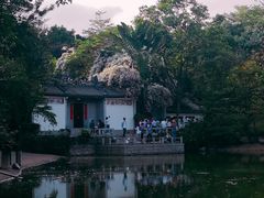 -深圳国际园林花卉博览园