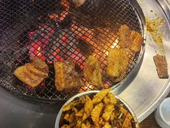 土豆-桶桶烧(赤水店)