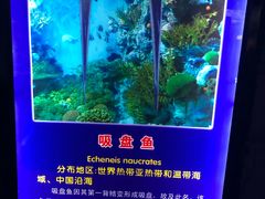 -左海海底世界