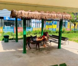 -萌宠亲子动物乐园(槐房万达店)