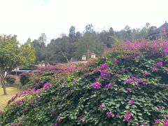 -龙潭生态旅游度假区