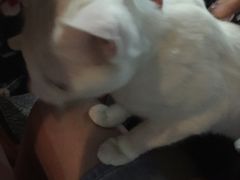 -赢吧Bliss音乐酒吧