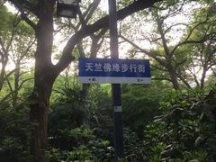 -杭州西湖风景名胜区-三生石