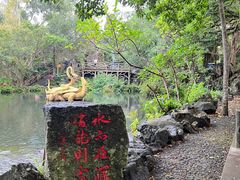 -海口火山口国家地质公园