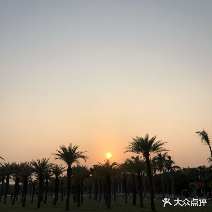 滨海公园图片