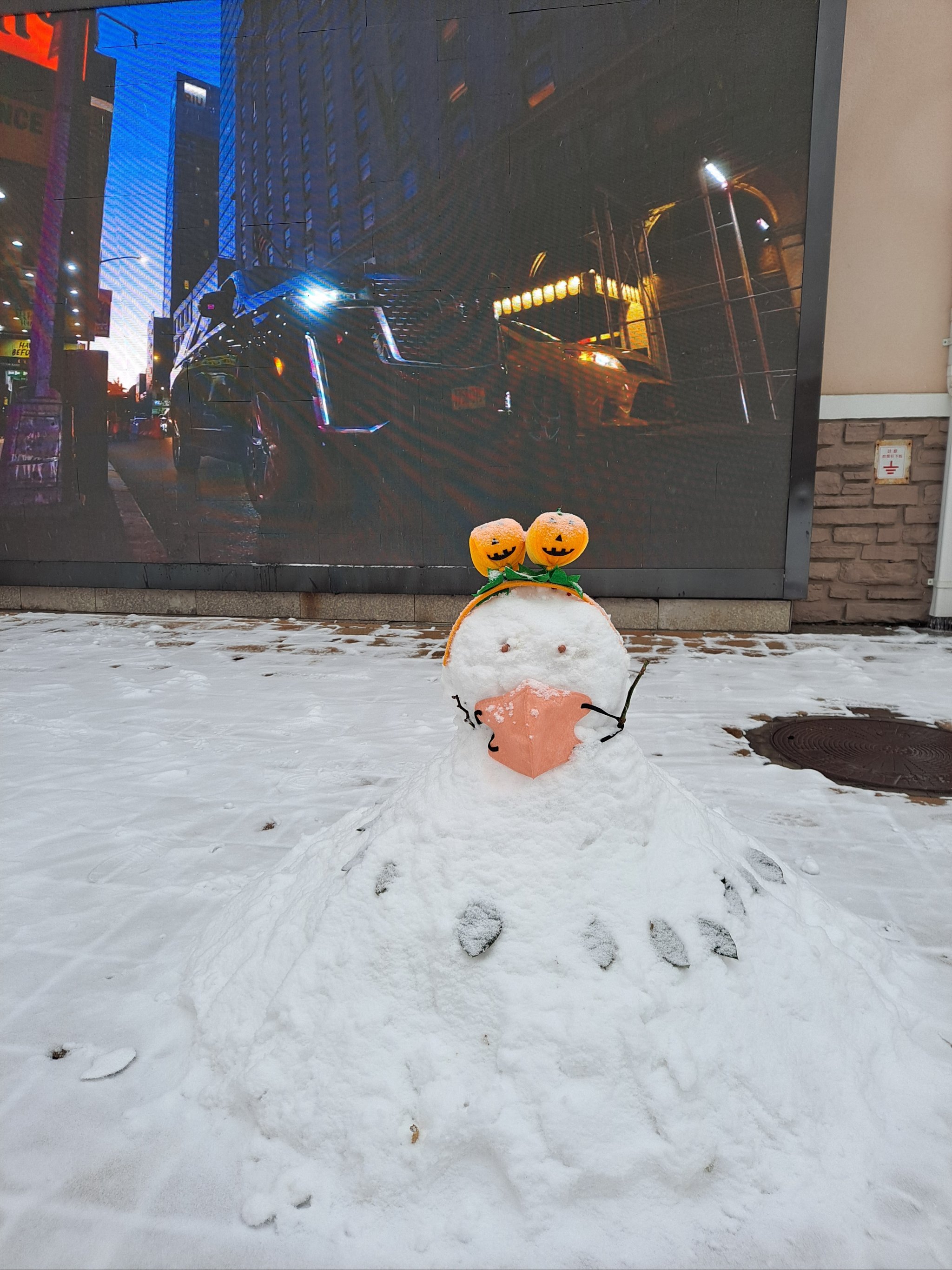 各种雪人图片大全图片