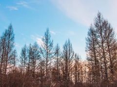 -北极村旅游风景区