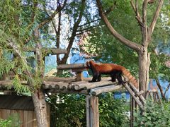 -鄂尔多斯野生动物园