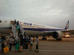 -全日本空输株式会社(上海办事处)