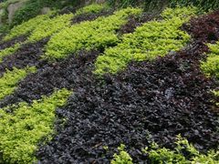 -船政文化景区-罗星塔公园