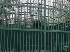 -秦皇岛野生动物园
