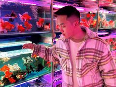 -青石桥花鸟鱼虫市场(叠翠城店)