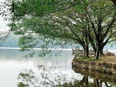 -三水森林公园