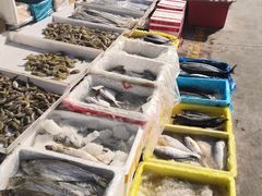 -何庄子阿米玛玛农产品批发市场