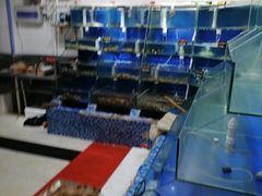 -雅逸居海鲜小厨